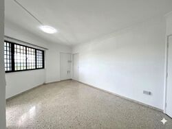 Blk 244 Hougang Heights (Hougang), HDB 3 Rooms #576085891